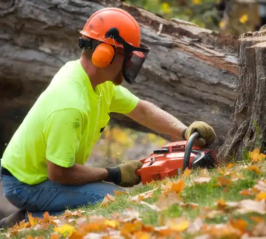 tree services Russell Springs